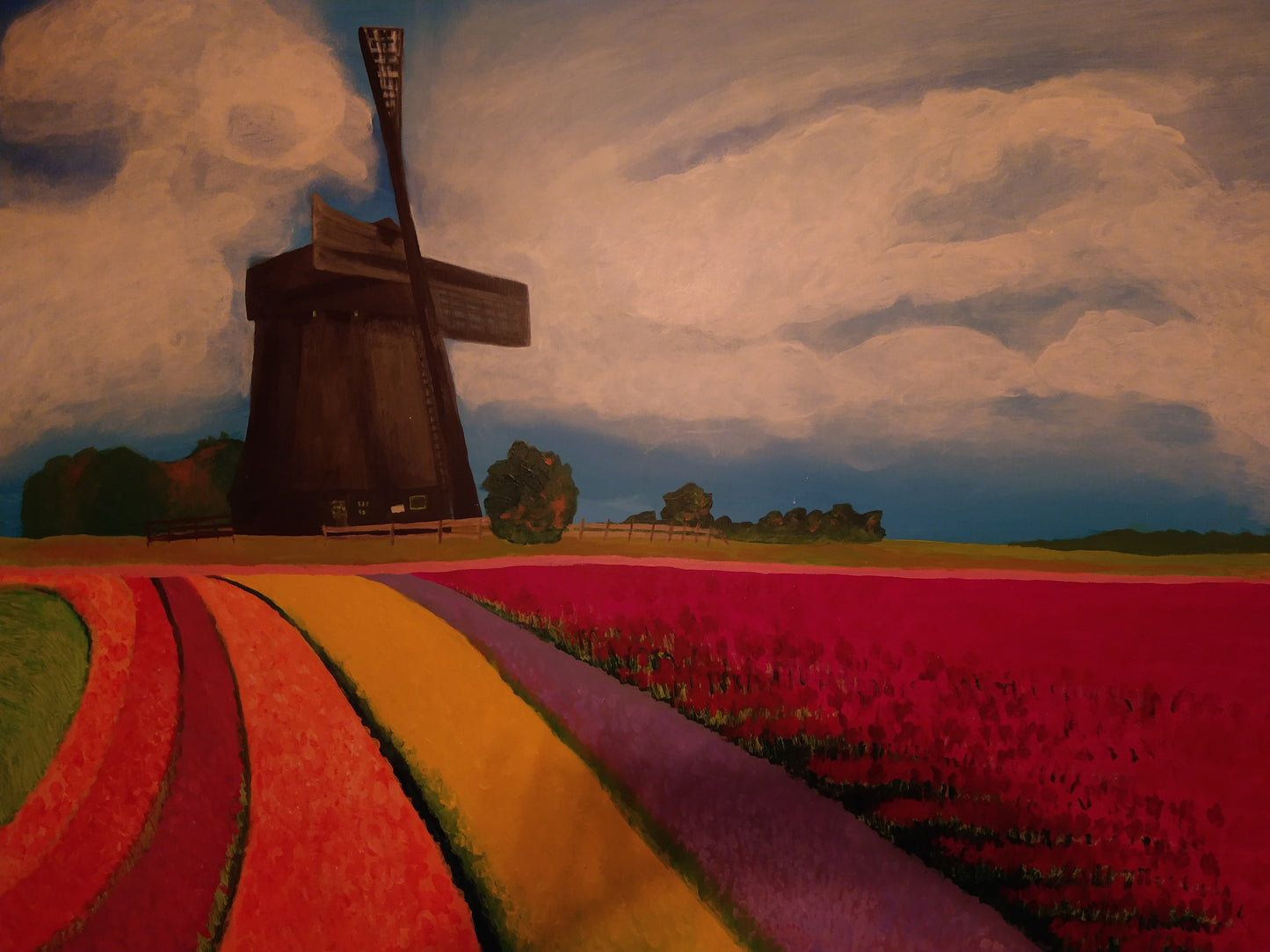 Tulip Fields